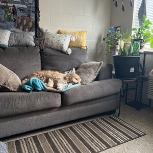 Meet your Posher, Terry